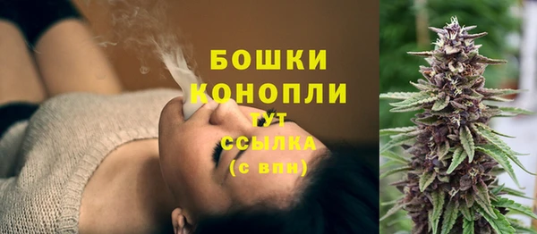 молекула духа Иннополис