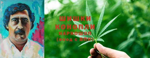 СК Инта