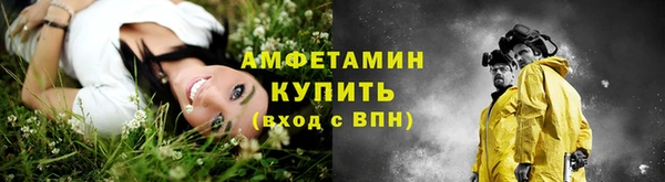 молекула духа Иннополис