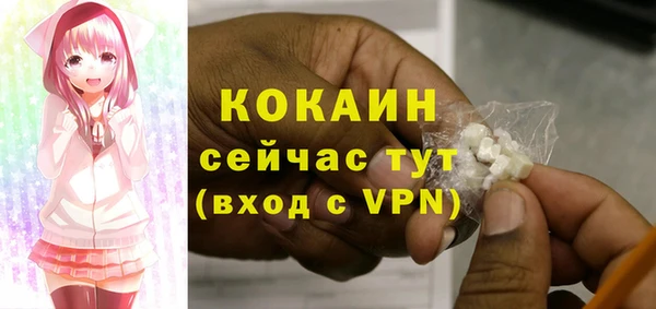СК Инта