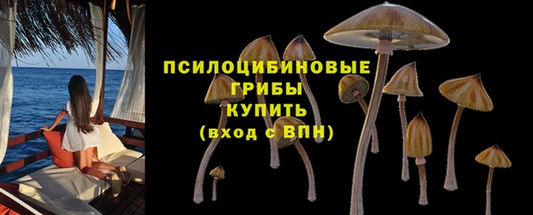 СК Инта