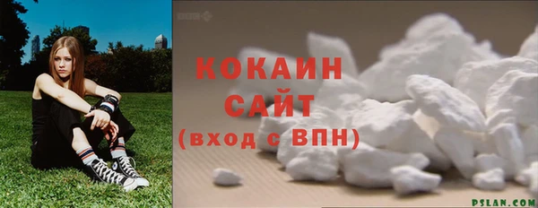 СК Инта