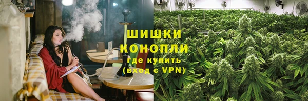 молекула духа Иннополис