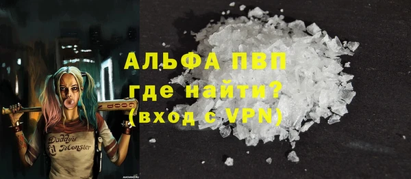 СК Инта