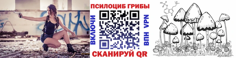 Купить закладки  Дубовка  Псилоцибиновые грибы прущие грибы 